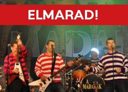 ELMARAD! Madarak Farsangi Időkapszula Party