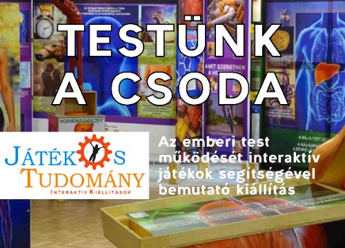 Testünk a csoda